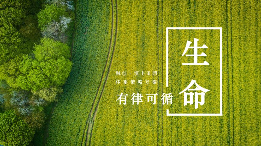【30】融创演丰田园体系策略方案0418.pptx