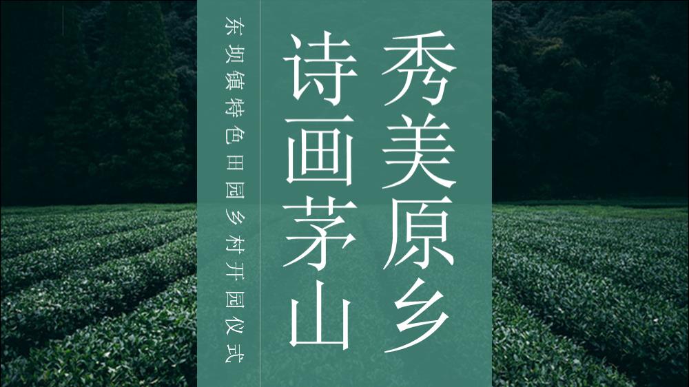 2018东坝镇特色田园乡村开园仪式活动策划方案-73P.pptx