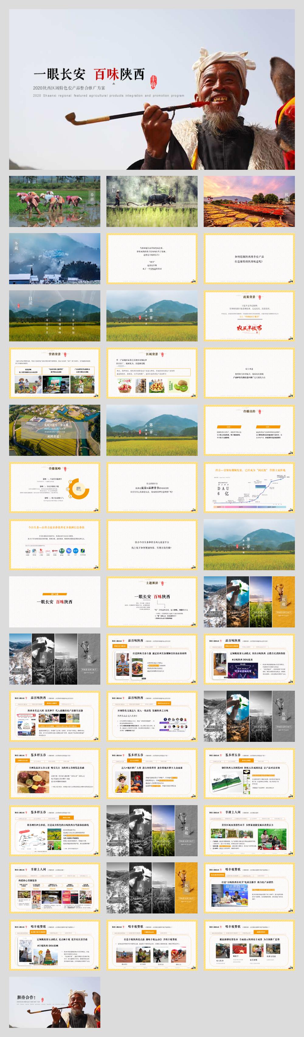 2020陕西区域特色农产品（一眼长安  百味陕西主题）整合推广方案-44P.pptx