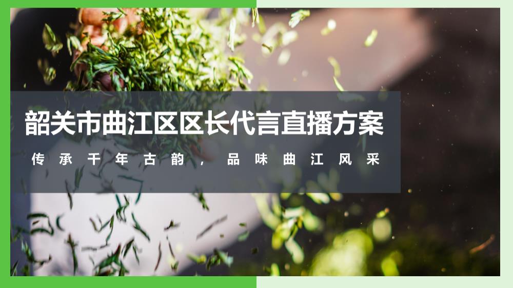 2020韶关区长代言直播活动策划方案.pptx
