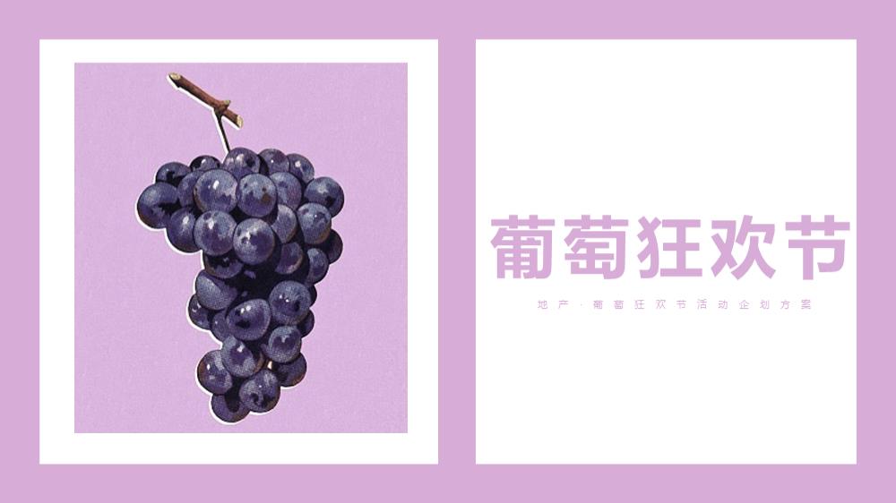 2021葡萄狂欢节活动方案-66P.pptx