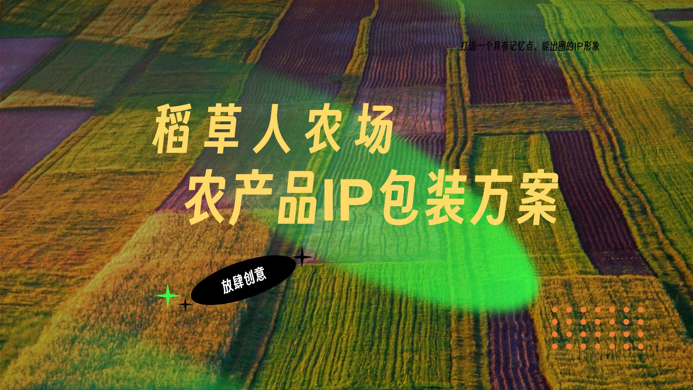 2023-4-10稻草人农场推广包装思考.pdf