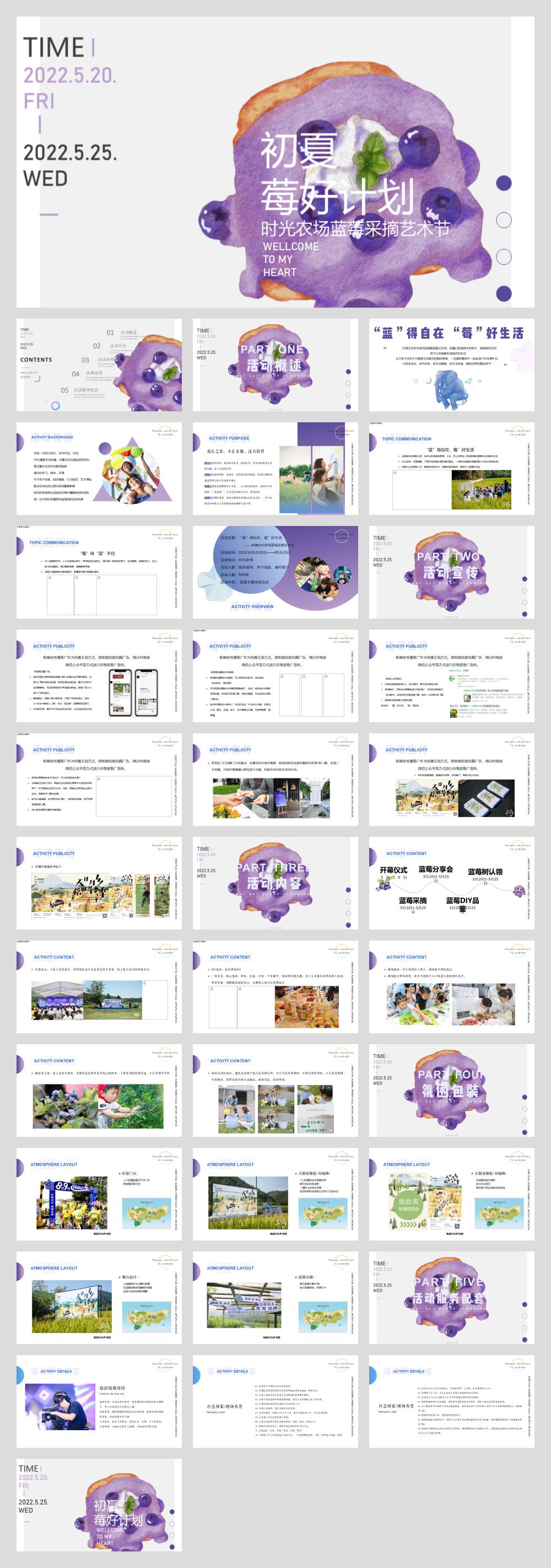 安徽时光生态农业蓝莓采摘节活动方案.pptx