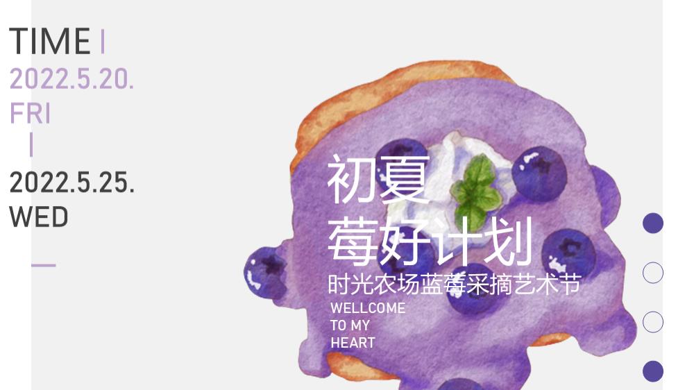 安徽时光生态农业蓝莓采摘节活动方案.pptx