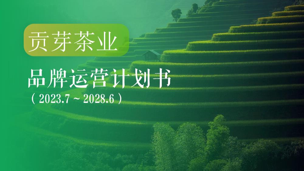 茶业品牌整合营销策略方案.pptx