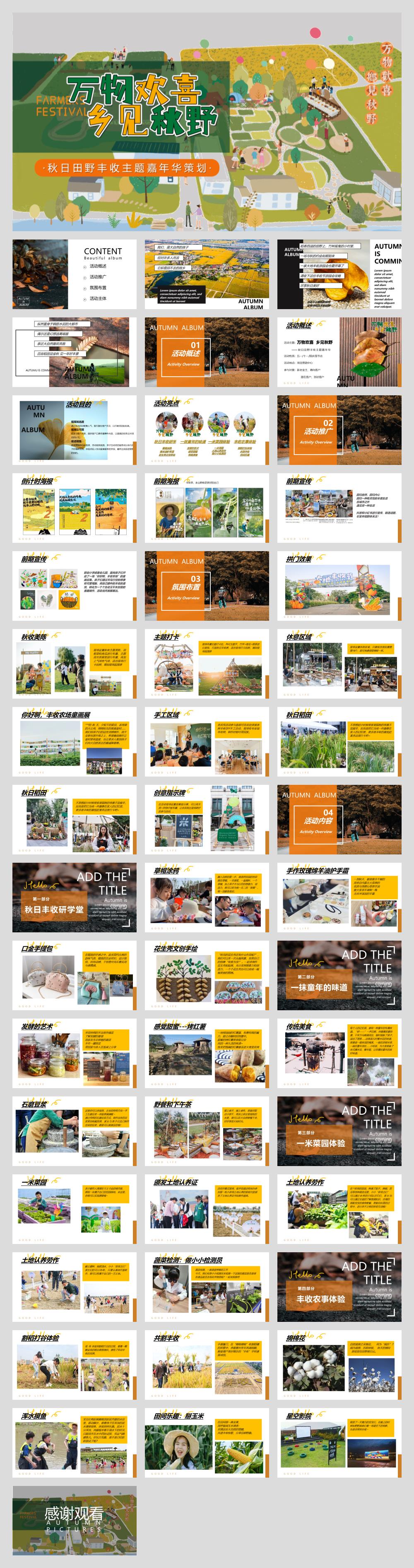 地产项目秋日田野丰收主题嘉年华活动策划方案.pptx
