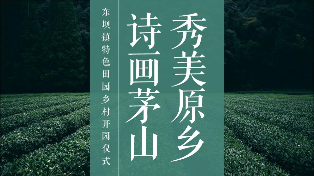东坝镇特色田园乡村开园仪式活动策划方案.pptx