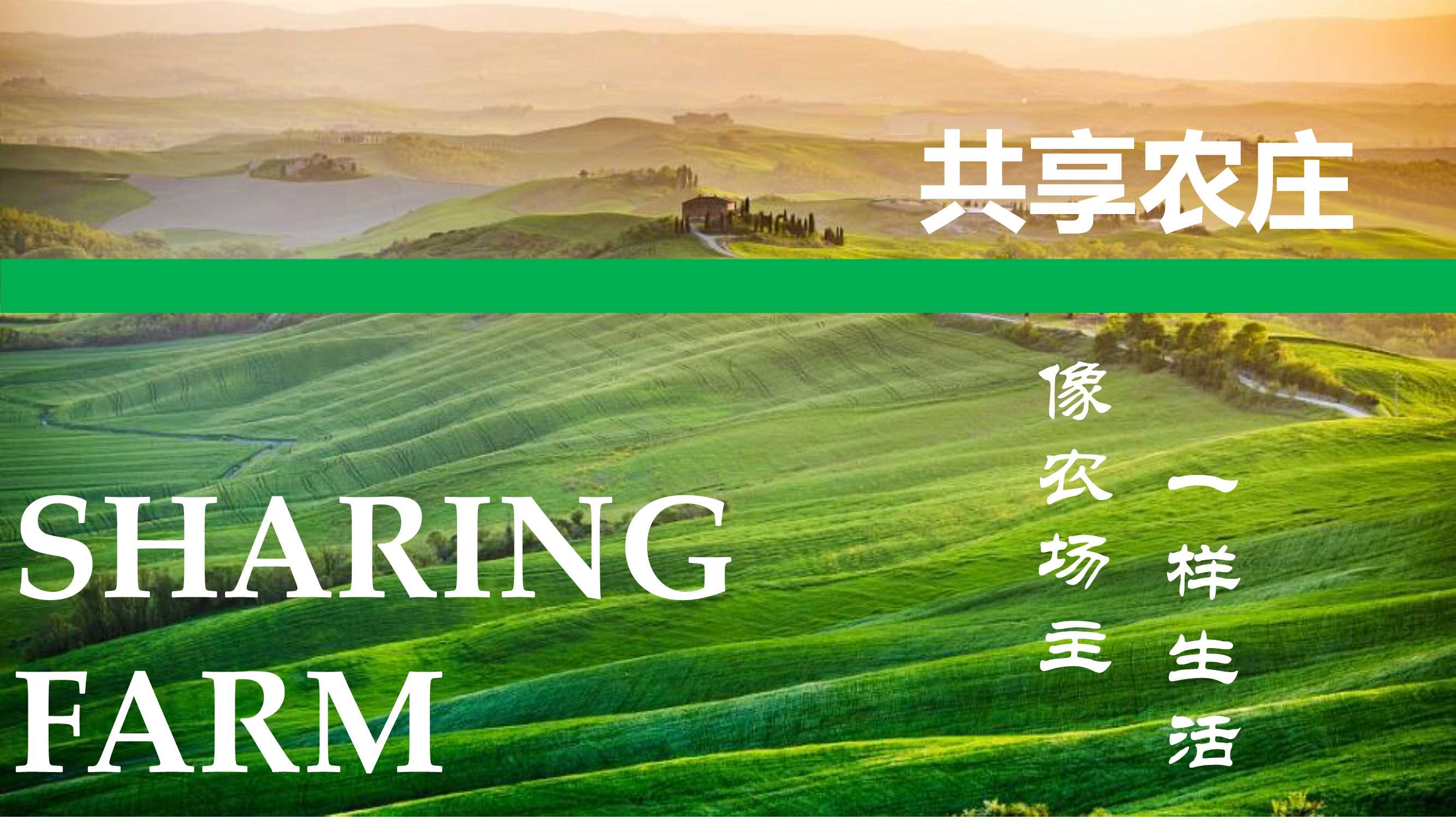 共享农庄（像农场一样生活）.pdf