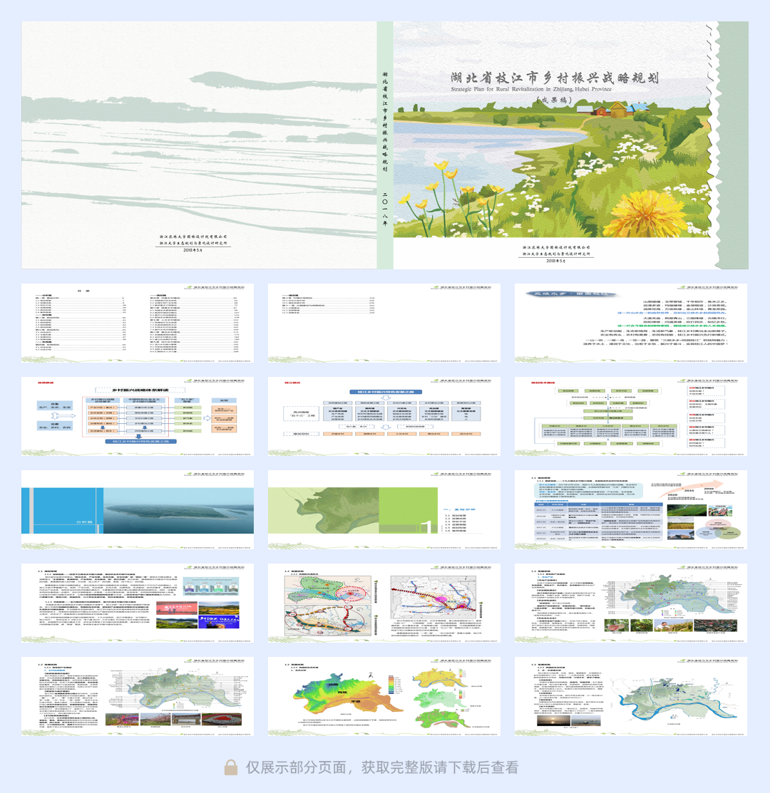 湖北省枝江市乡村振兴战略规划.pdf