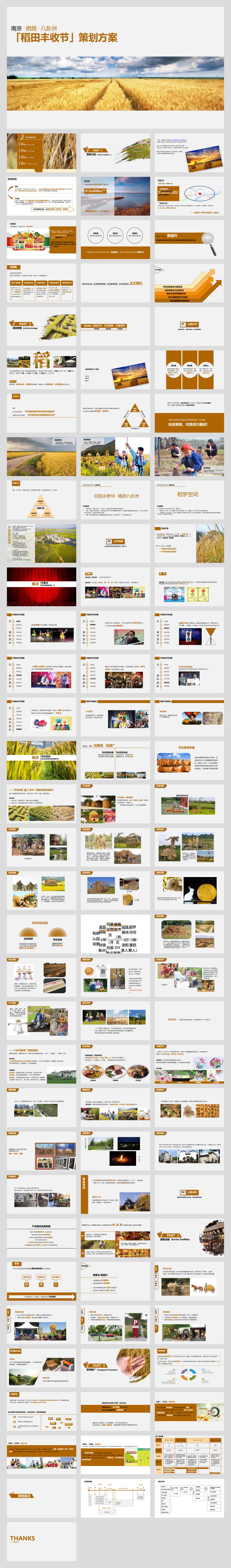 南京栖霞八卦洲稻田丰收节系列活动策划方案.pptx