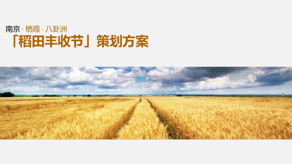 南京栖霞八卦洲稻田丰收节系列活动策划方案.pptx