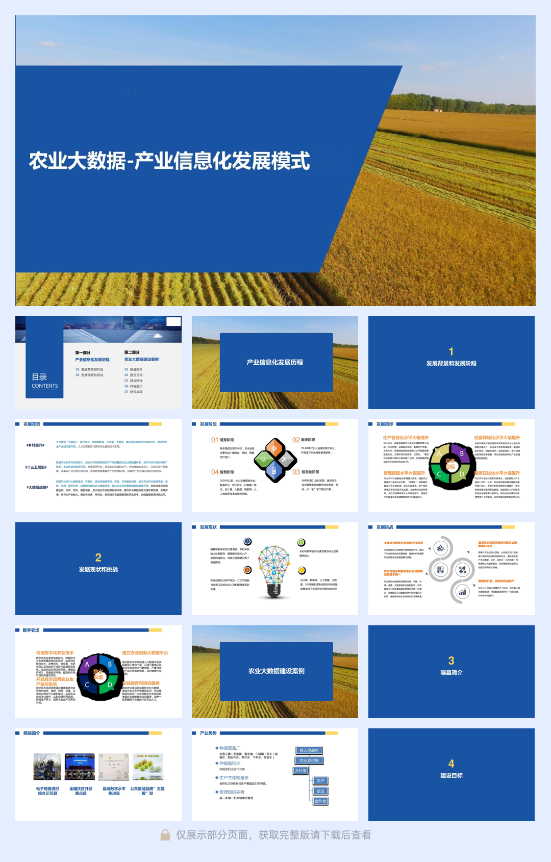 农业大数据：产业信息化发展模式.pdf