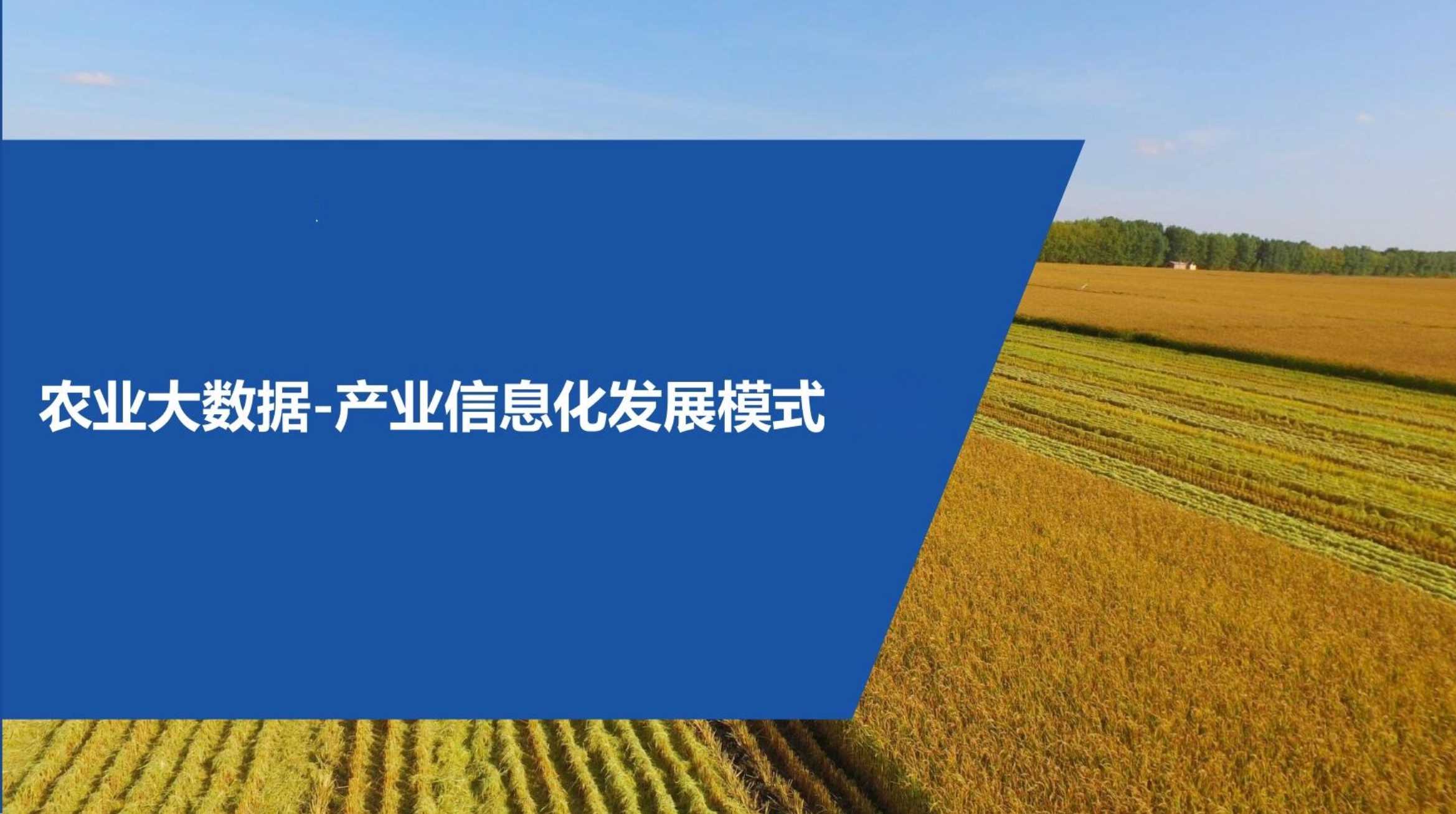 农业大数据：产业信息化发展模式.pdf