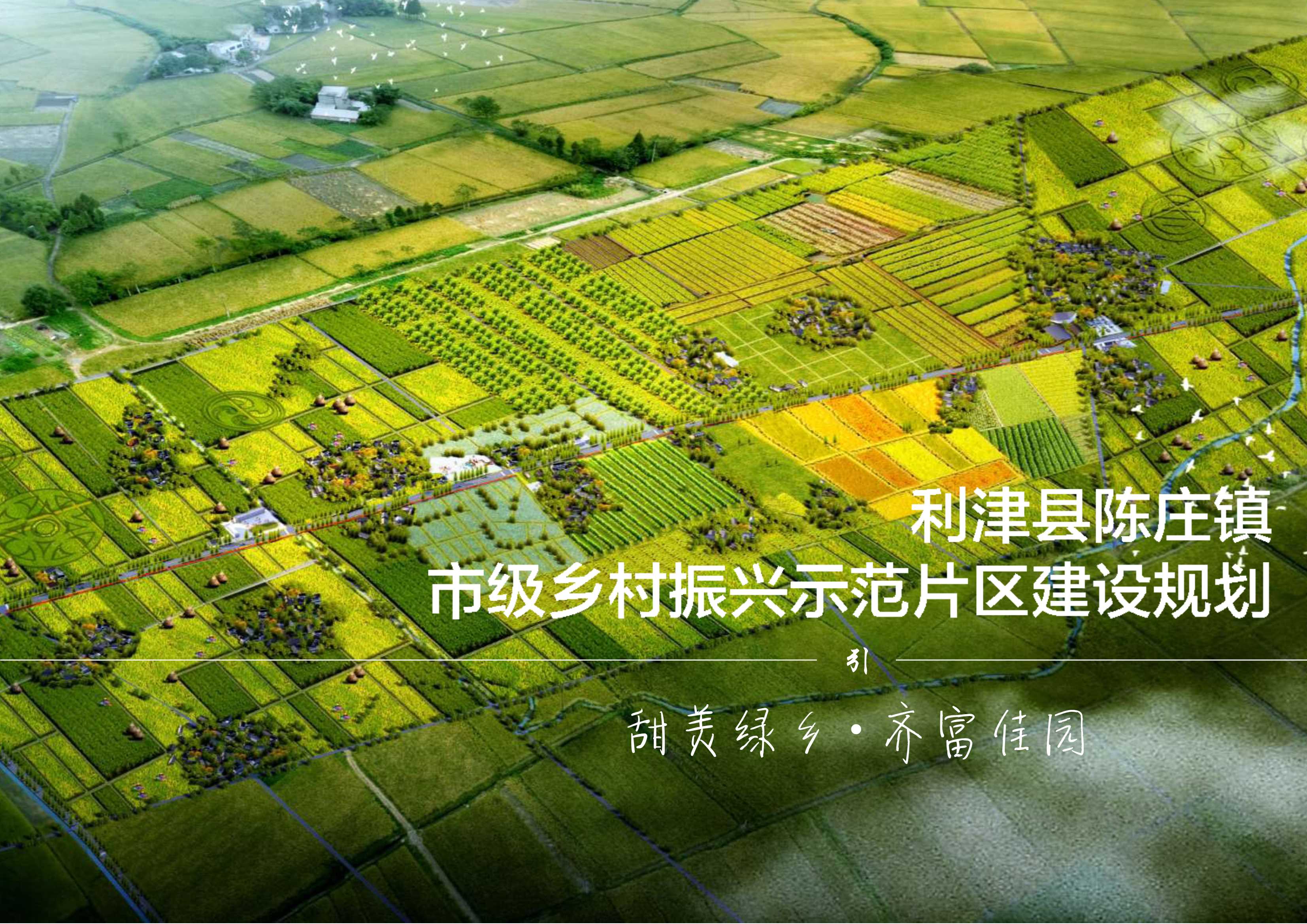 山东省利津县陈庄镇市级乡村振兴示范片区建设规划.pdf