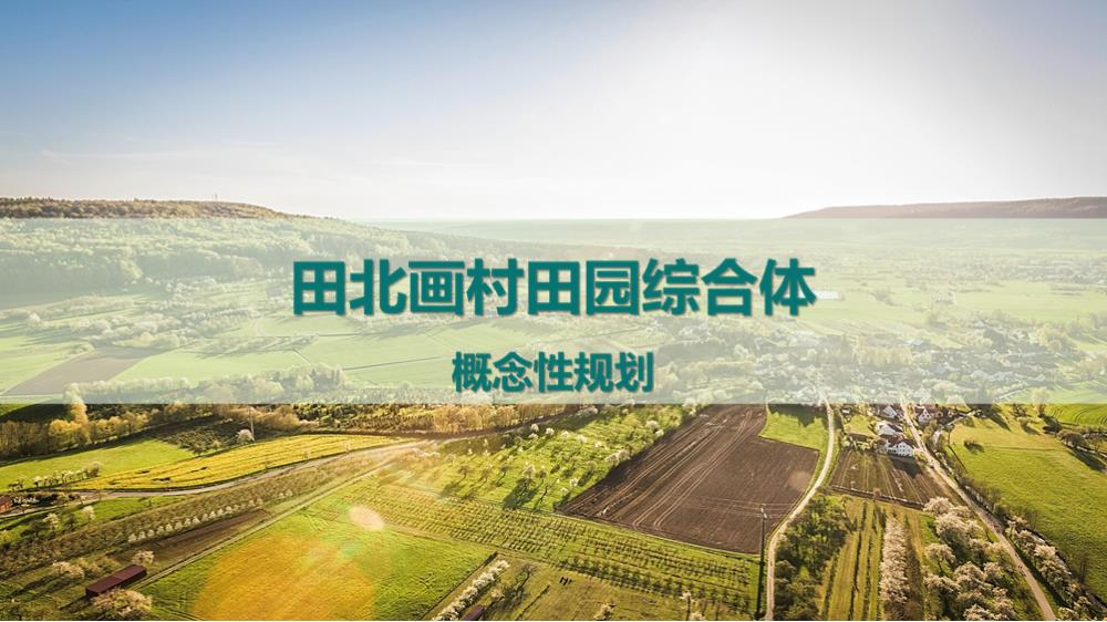 田北画村田园综合体概念性规划.pptx