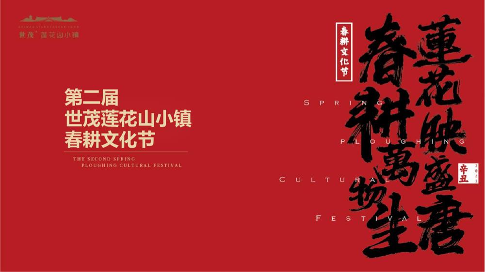 文旅小镇春耕大典第二届春耕文化节活动策划方案.pptx
