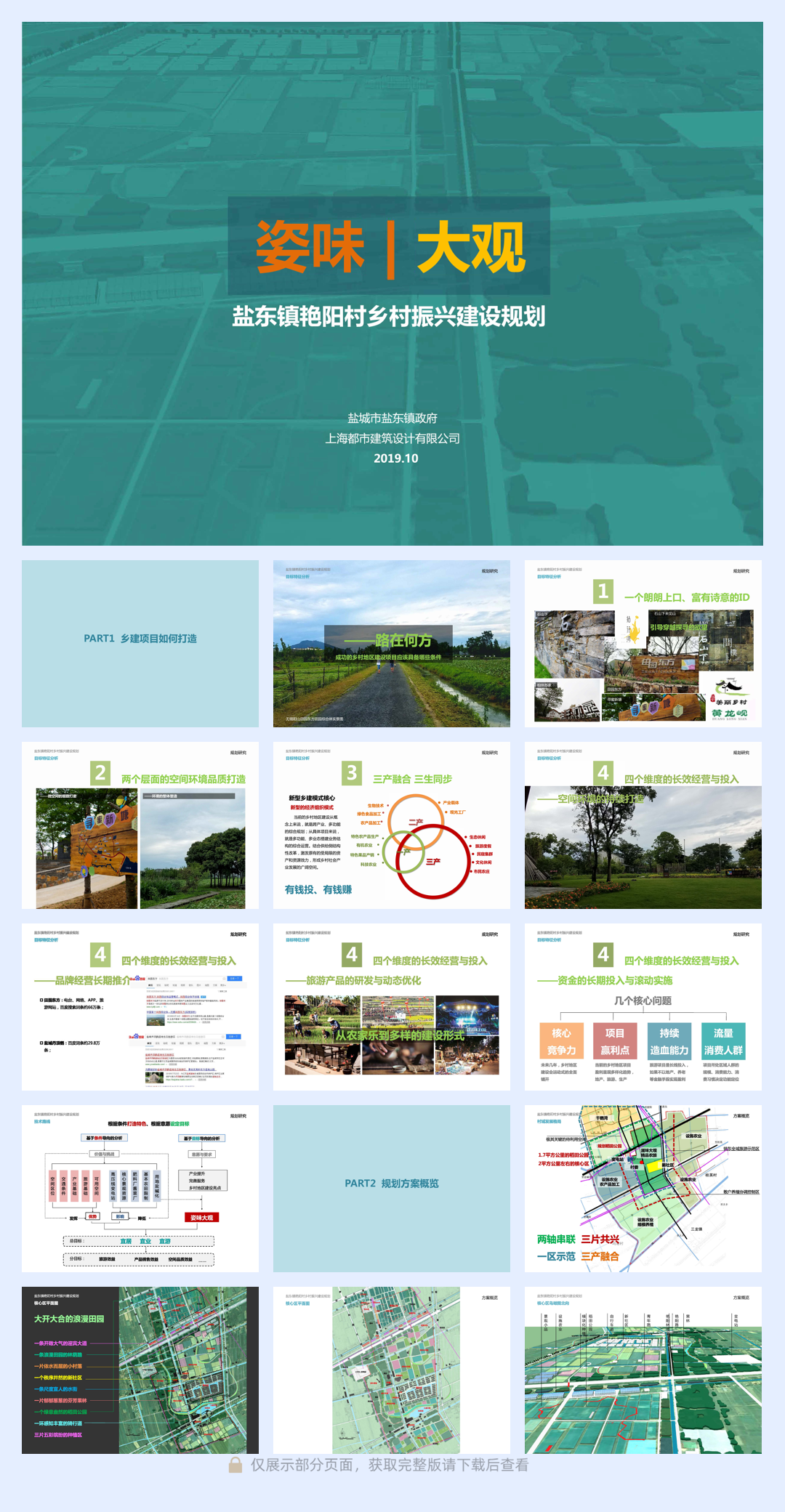 盐东艳阳村乡村振兴建设规划.pdf