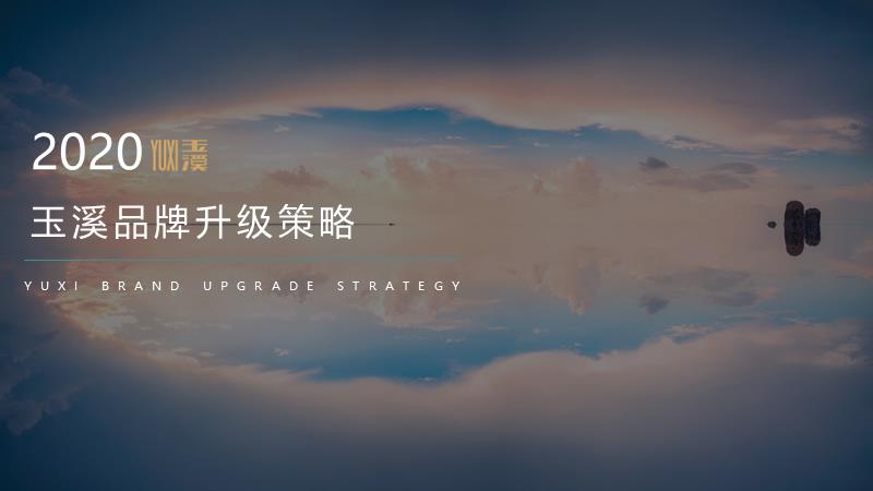 2020-玉溪品牌升级策略方案-83页.pptx