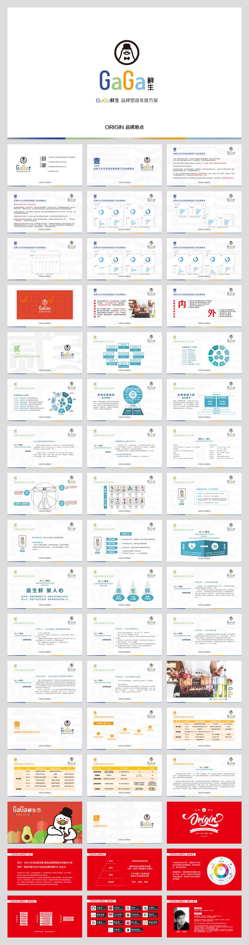 20210531-GaGa鲜生 品牌塑造年度方案.pptx