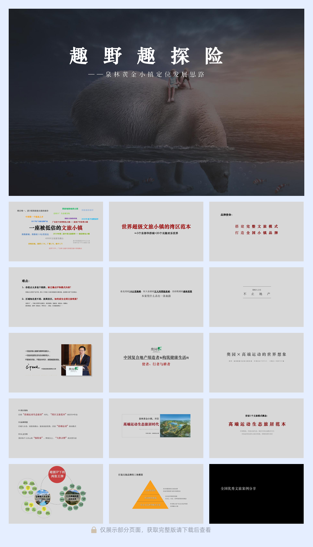 2021奥园泉林黄金小镇定位规划推广案.pdf