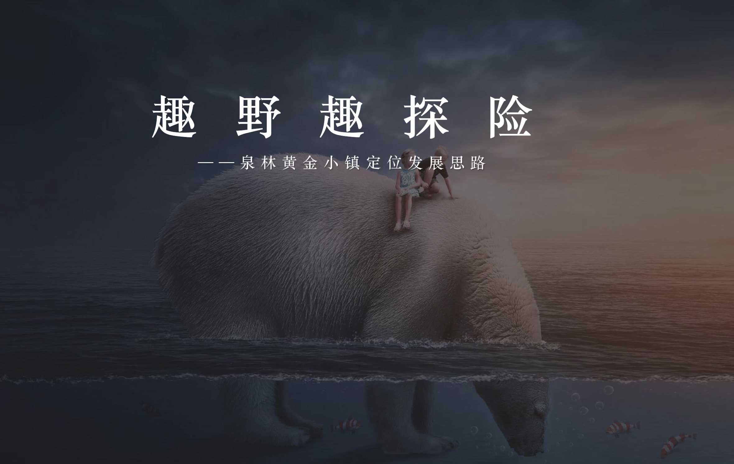 2021奥园泉林黄金小镇定位规划推广案.pdf