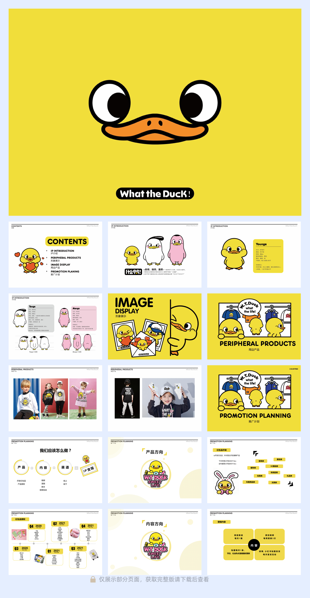 W.T.DUCK什么鸭品牌策划.pdf