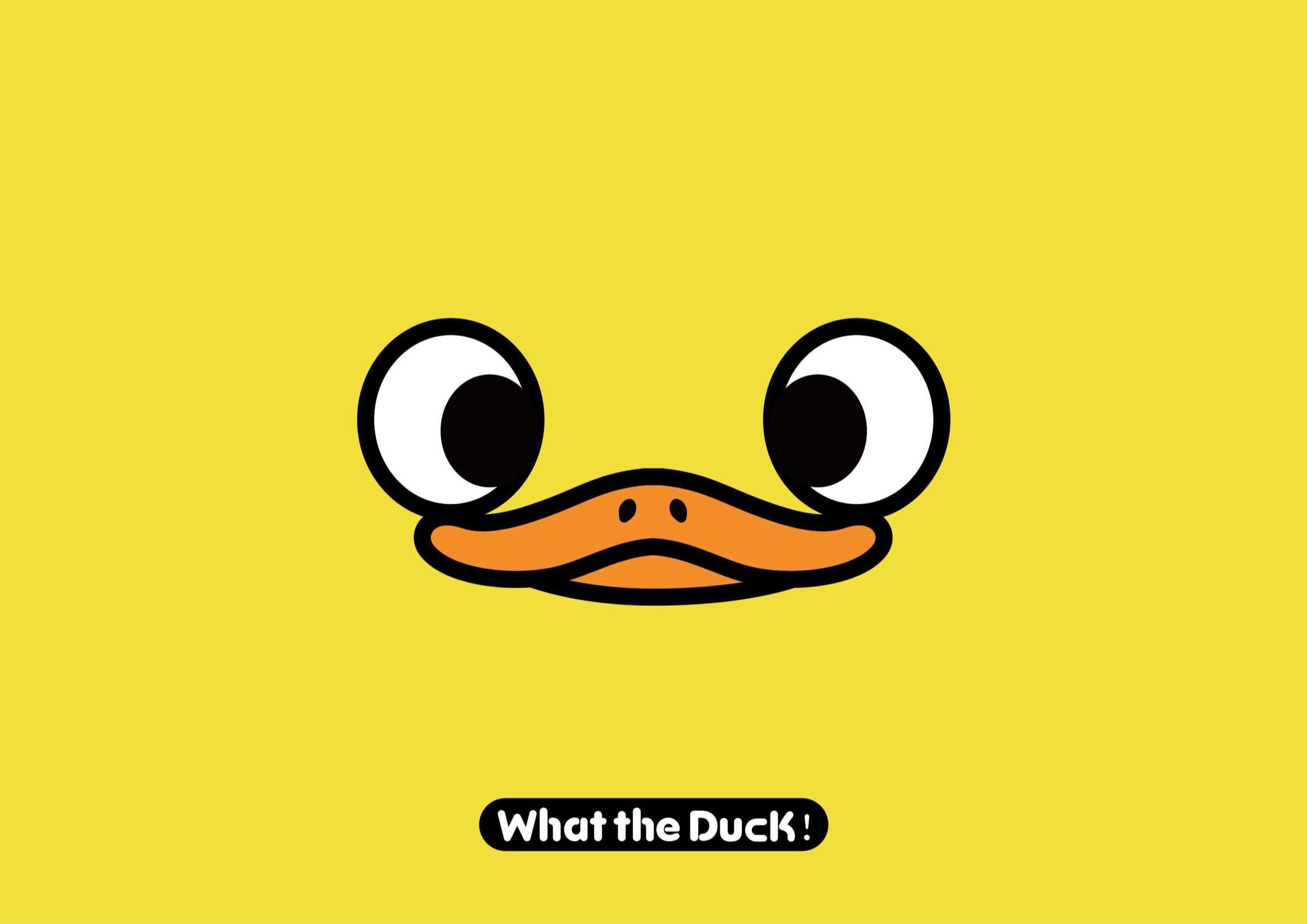 W.T.DUCK什么鸭品牌策划.pdf