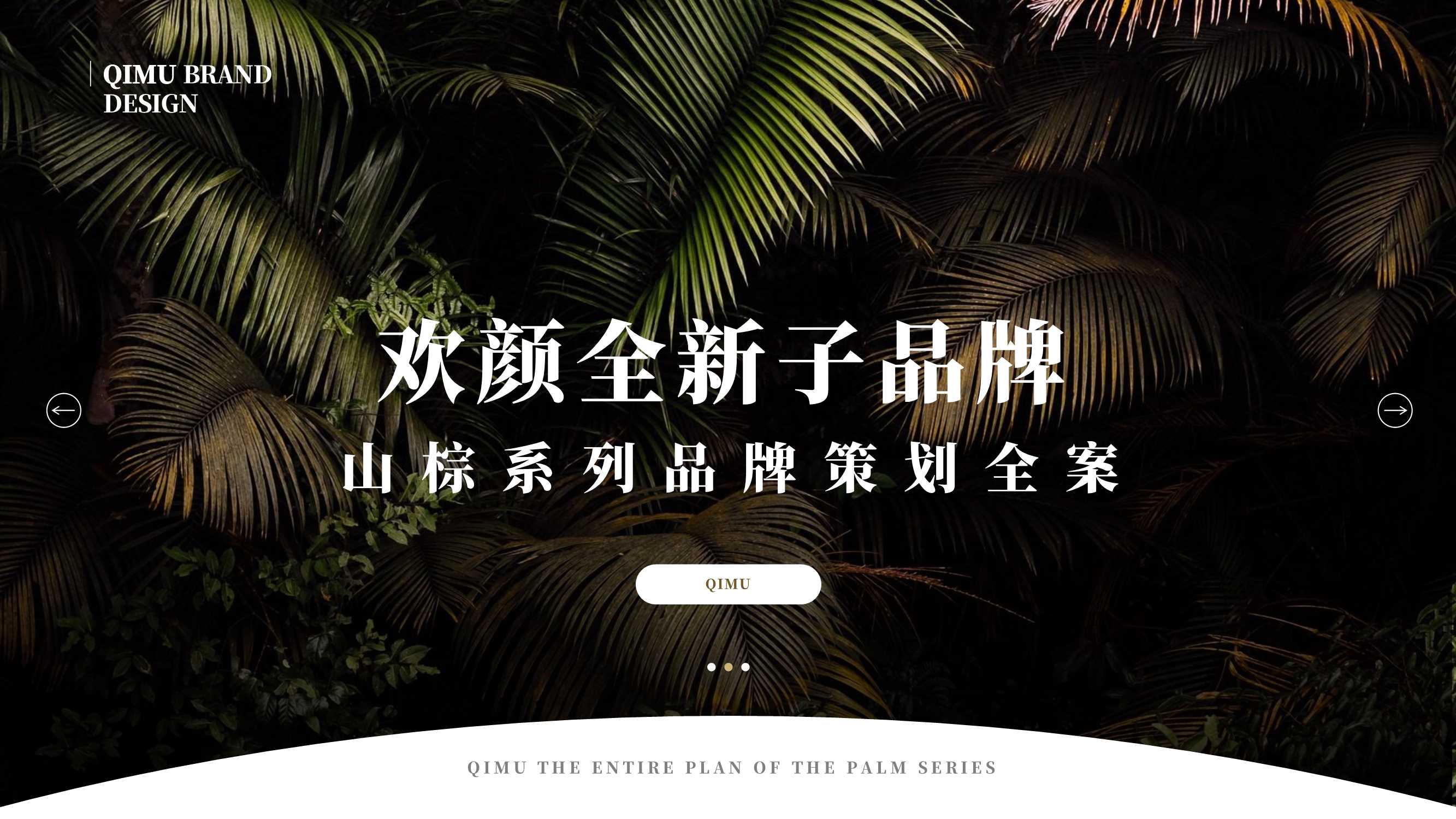 欢颜子品牌打造全案V3.pdf