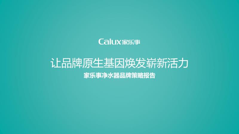 家乐事品牌策略报告0906.pptx