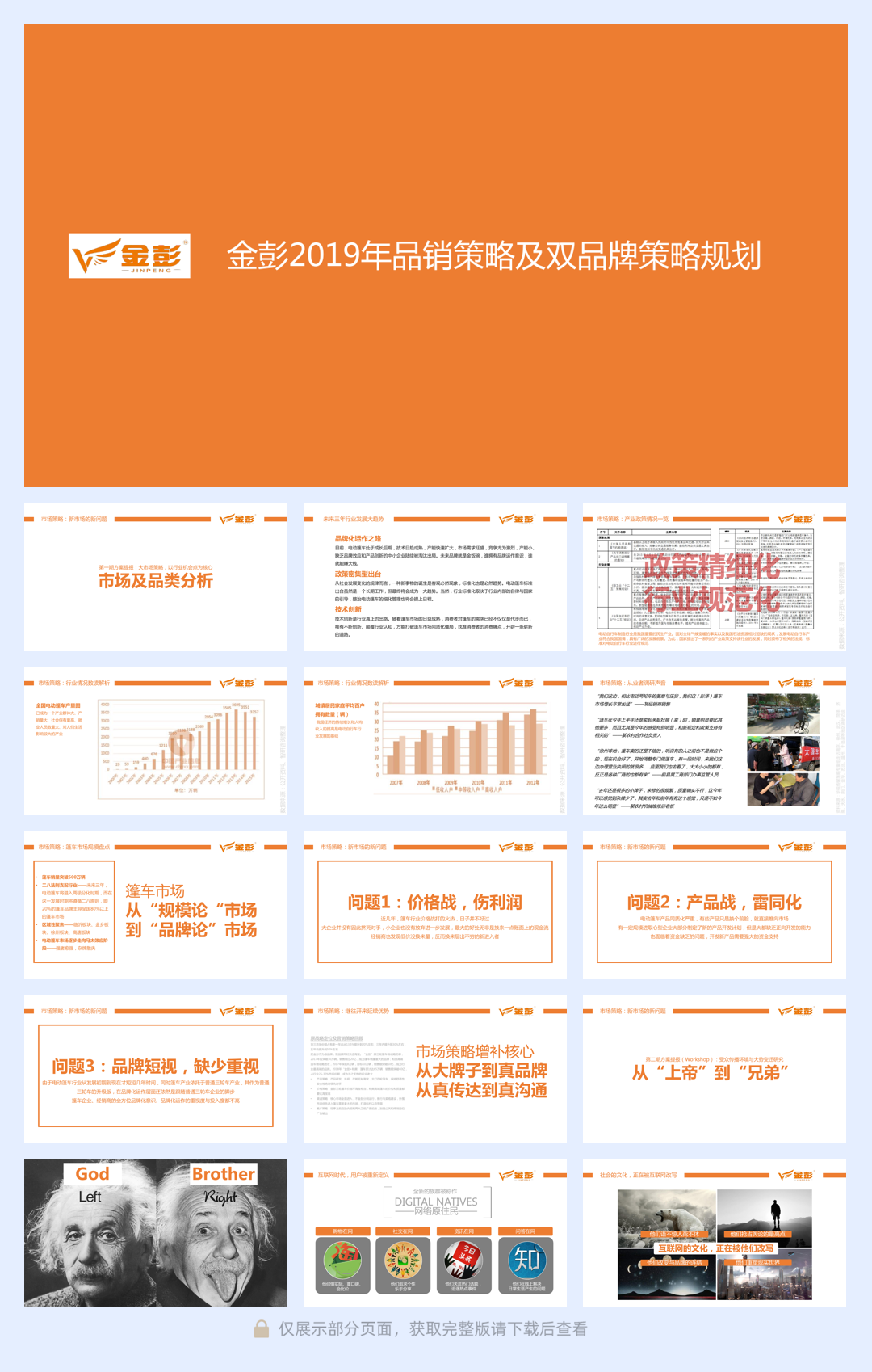 金彭品销策略及双品牌策略规划.pdf