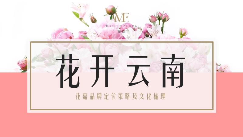 品牌定位及品牌文化梳理.pptx