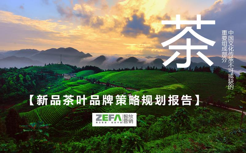 品牌体系-杯包-茶叶品牌策划.pptx