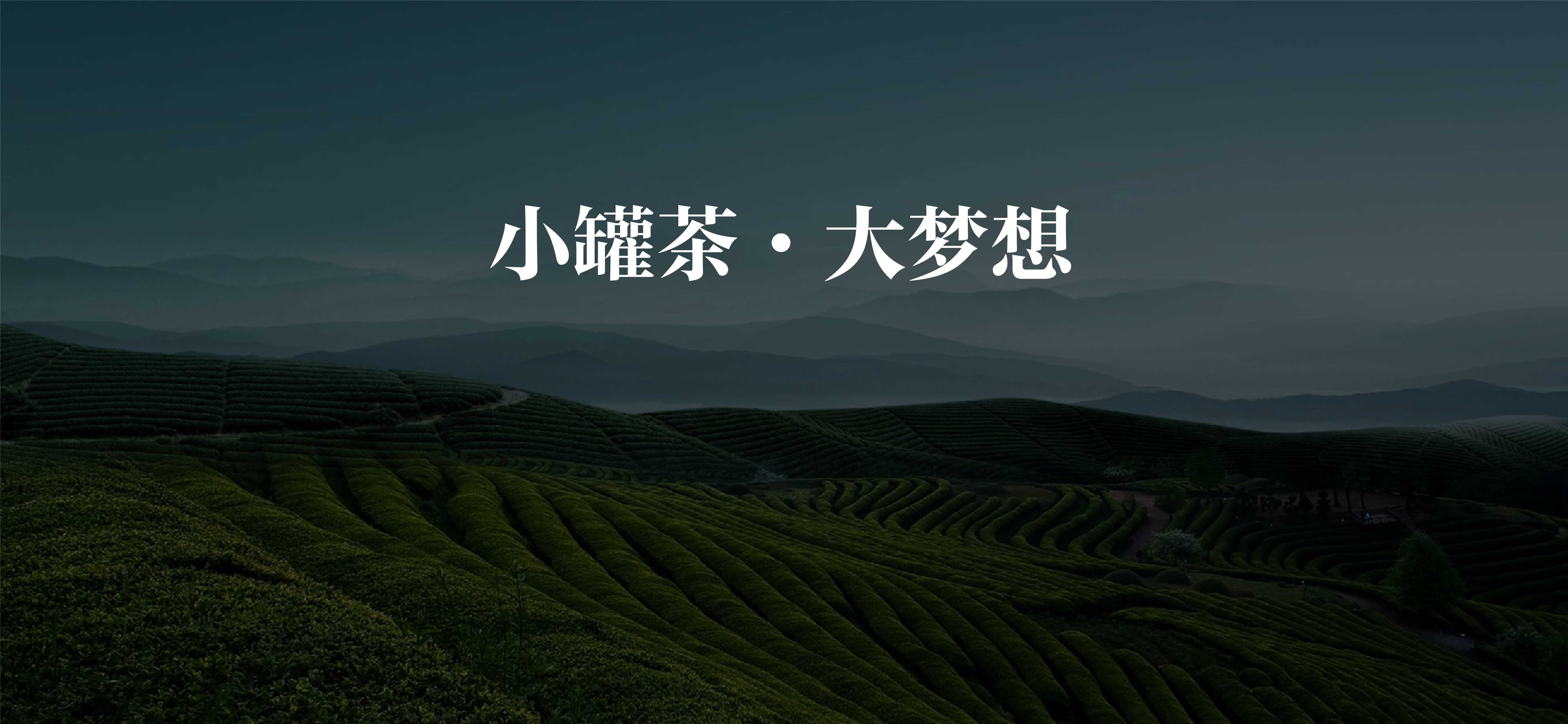 小罐茶·大梦想–小罐茶品牌发展规划.pdf
