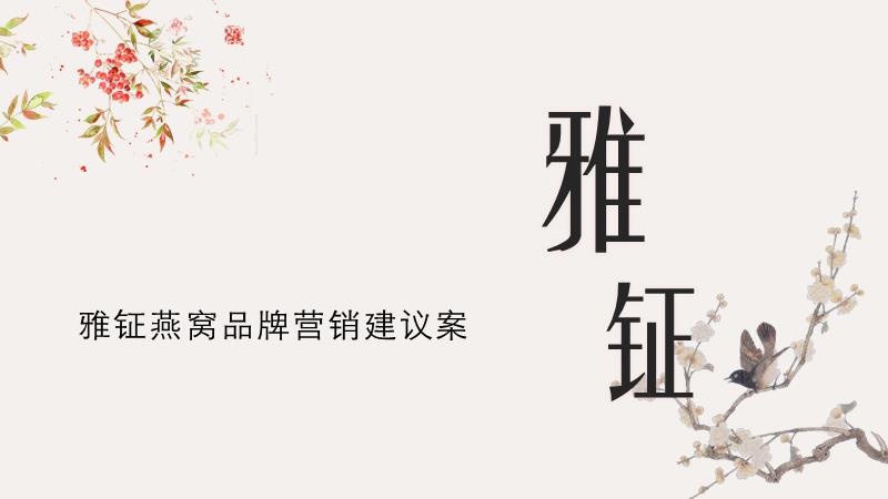 雅钲品牌营销建议案补充方案.pptx