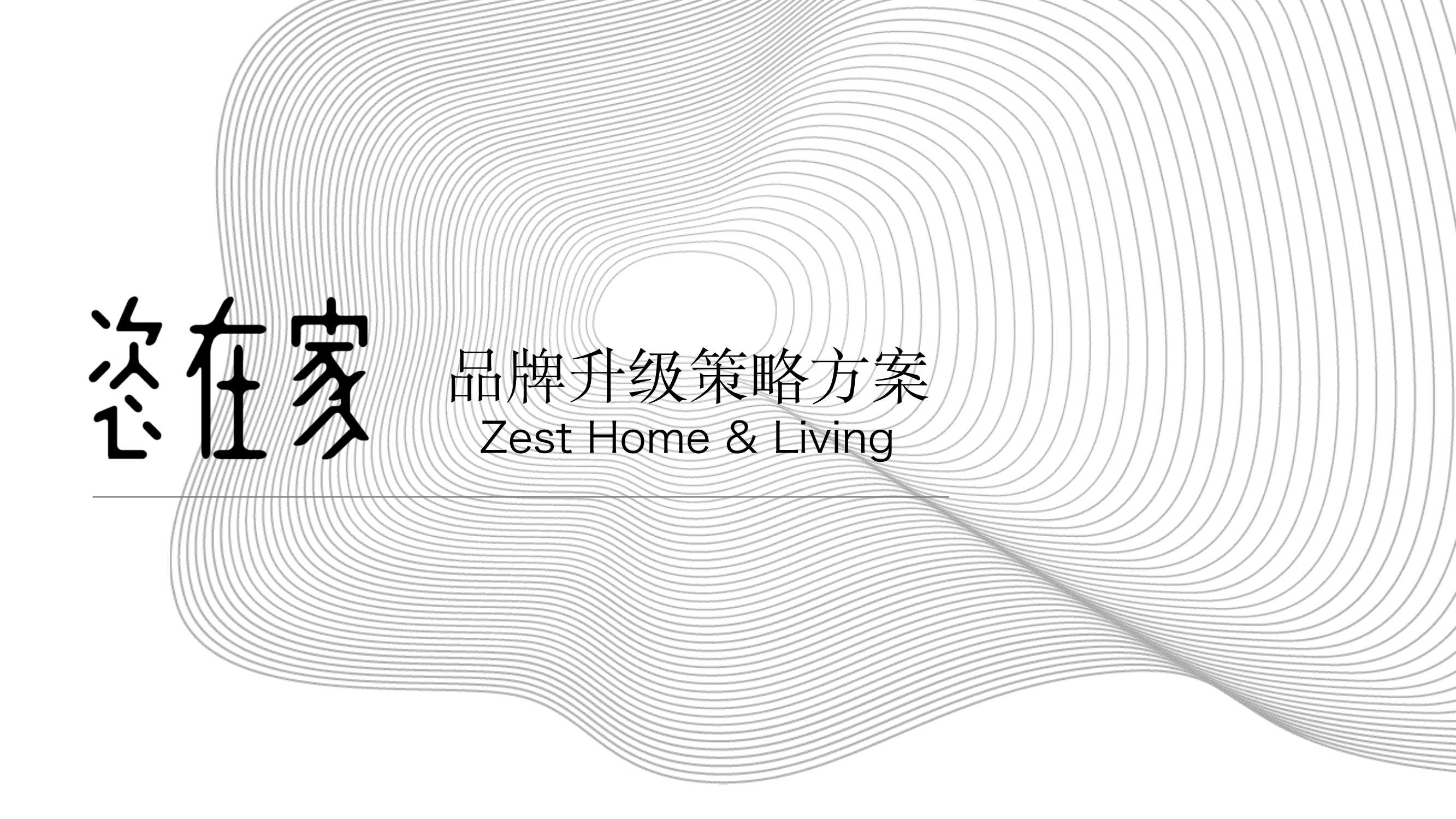 恣在家品牌策略.pdf