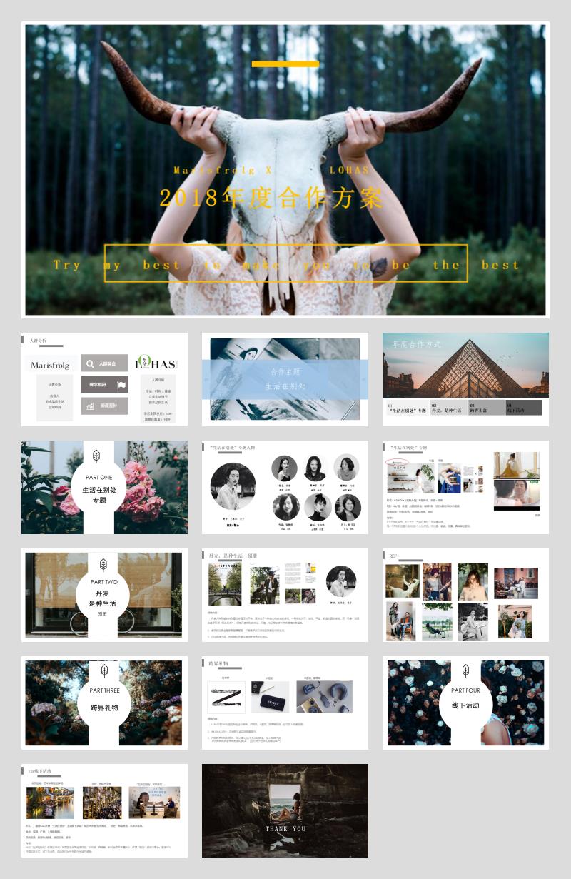 2018-玛丝菲尔XLOHAS媒体策划案-15P.pptx