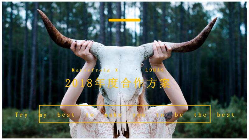 2018-玛丝菲尔XLOHAS媒体策划案-15P.pptx