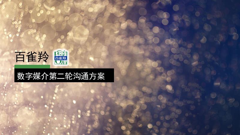 百雀羚媒介提案.pptx