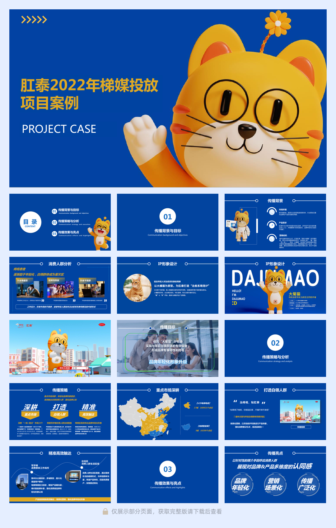 肛泰大橘猫电梯投放.pdf