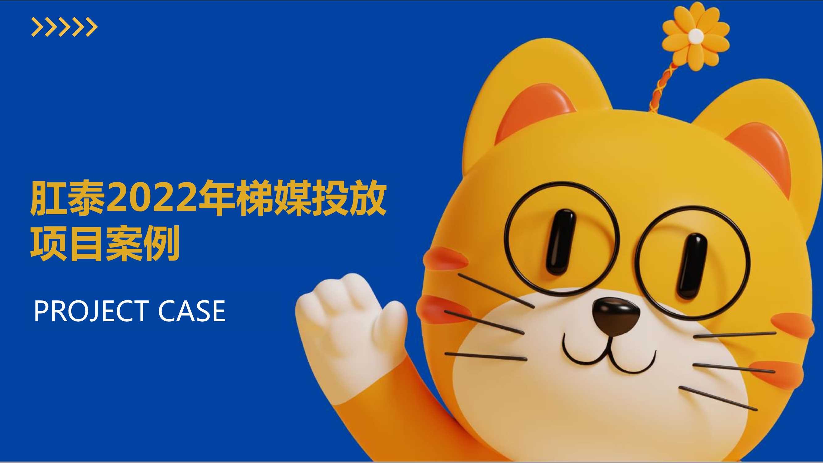 肛泰大橘猫电梯投放.pdf