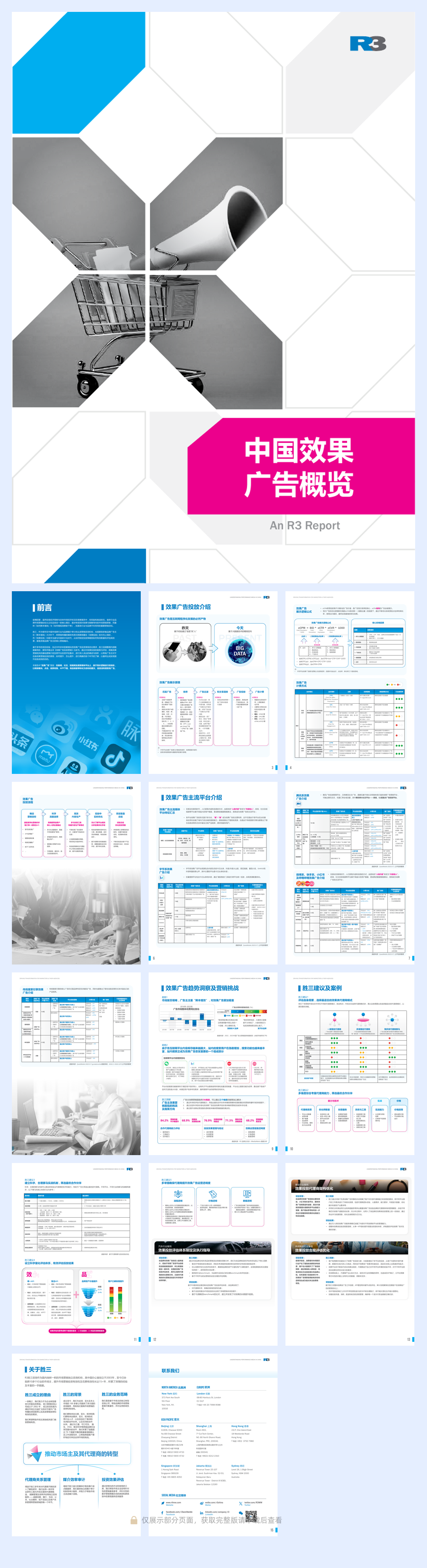 胜三:2024中国效果广告概览报告.pdf