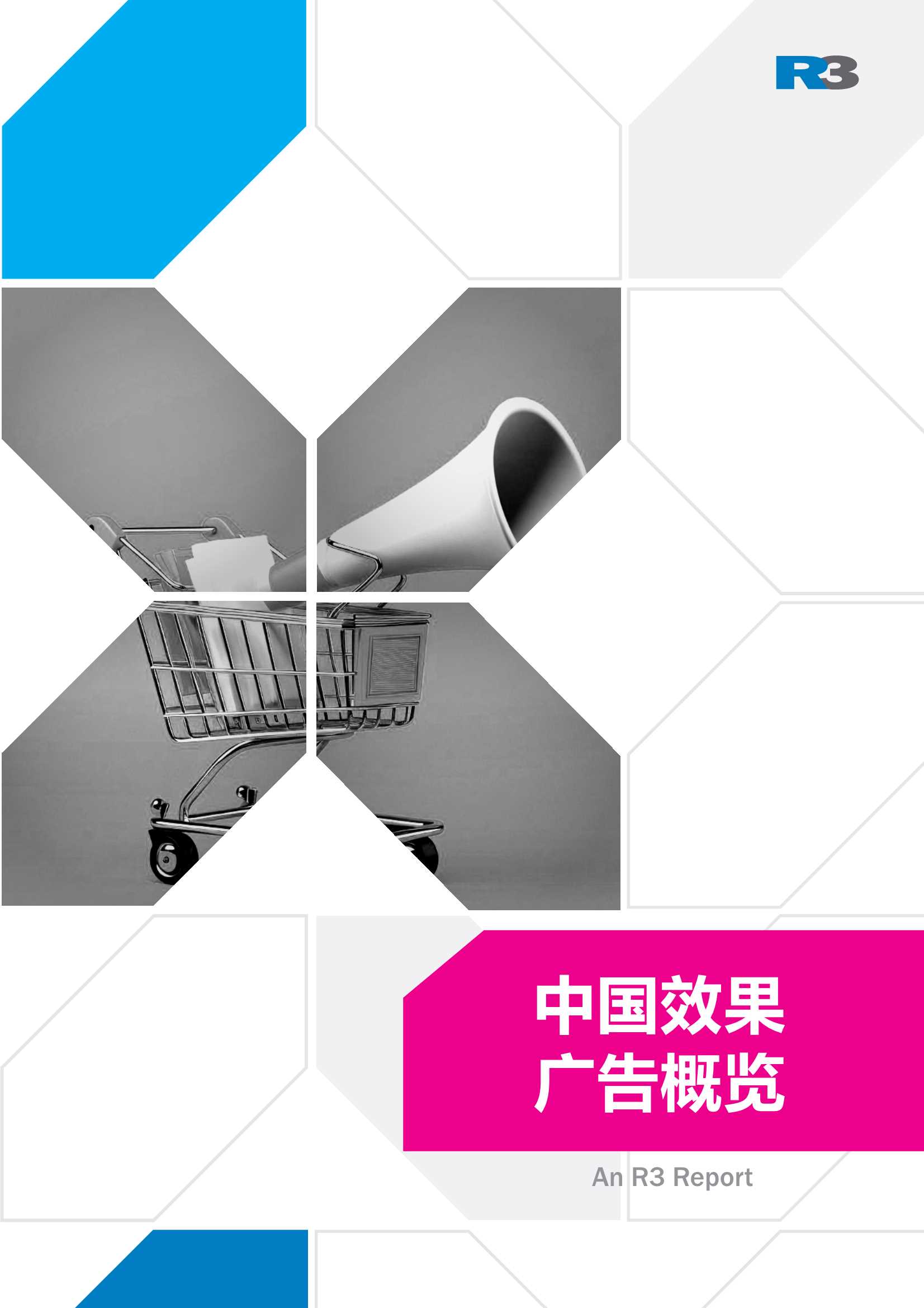 胜三：2024中国效果广告概览报告.pdf