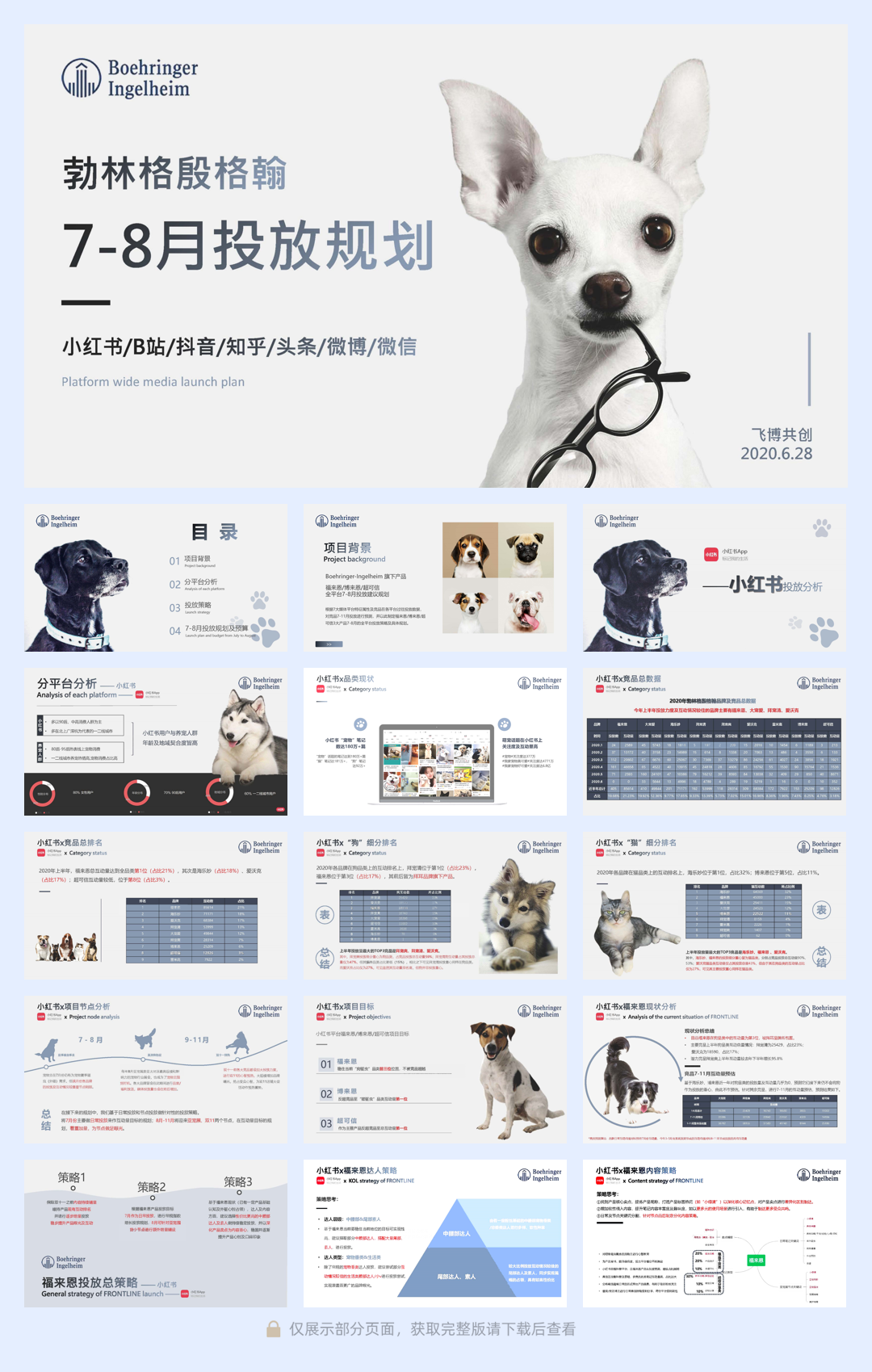 2020勃林格殷格翰宠物食品7-8月投放规划.pdf