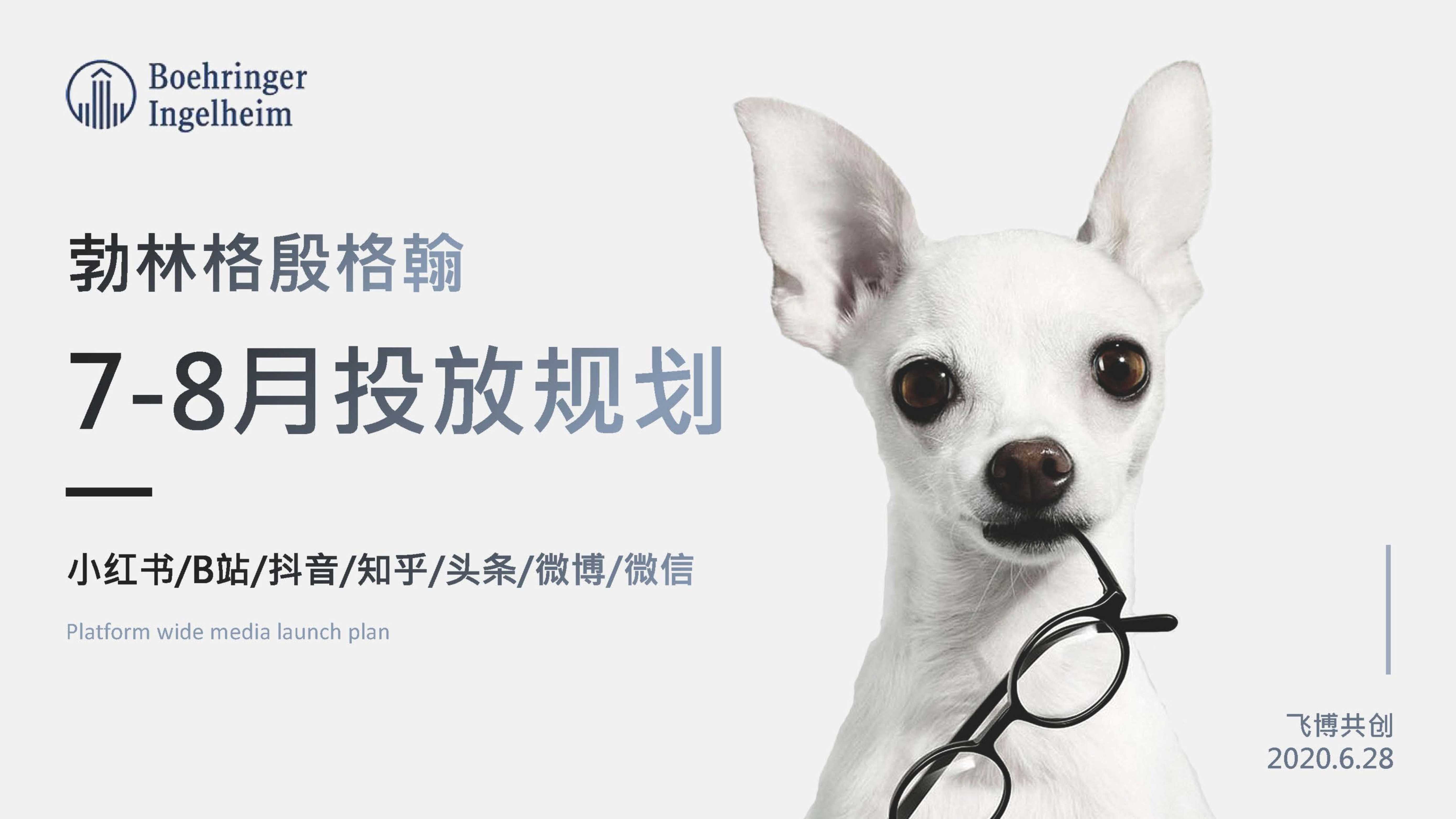 20210526-马飞仕图数字营销方案.pdf