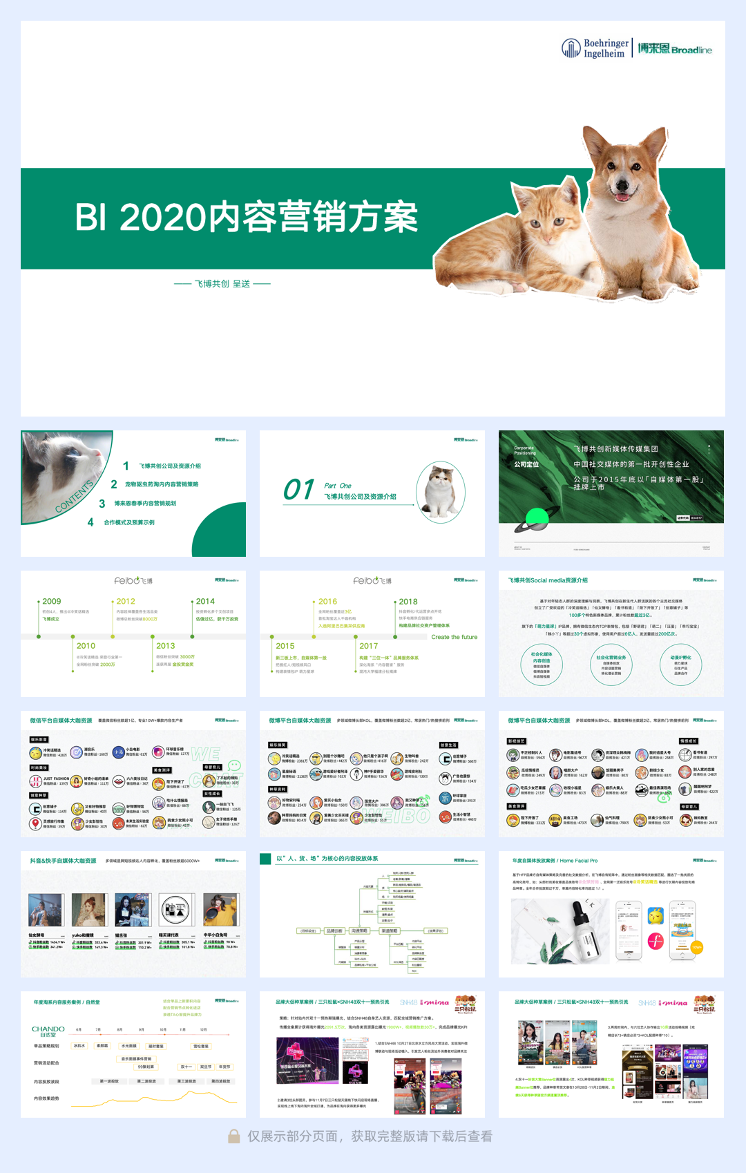BI博来恩宠物驱虫季度内容营销规划方案.pdf