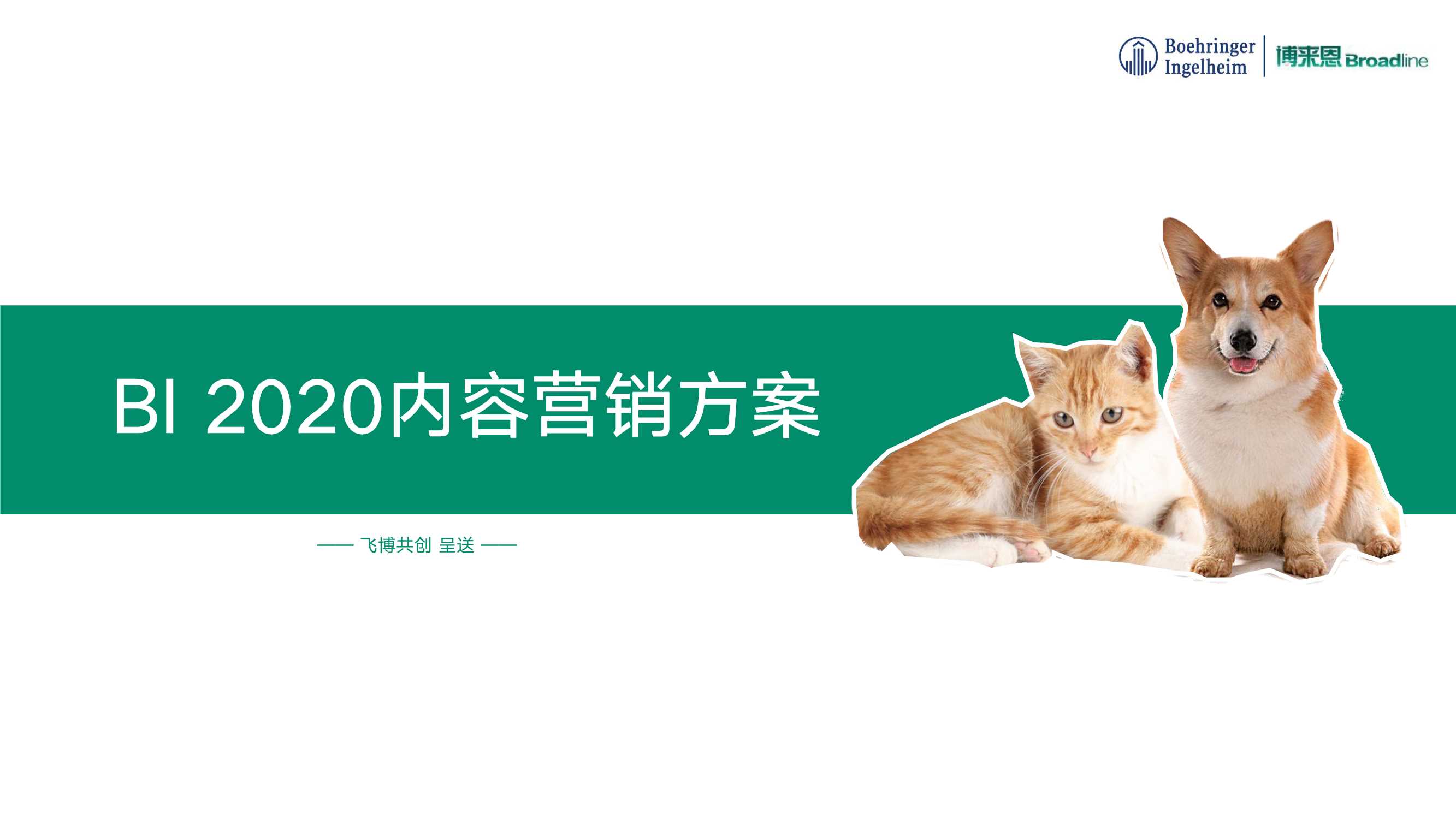 BI博来恩宠物驱虫季度内容营销规划方案.pdf