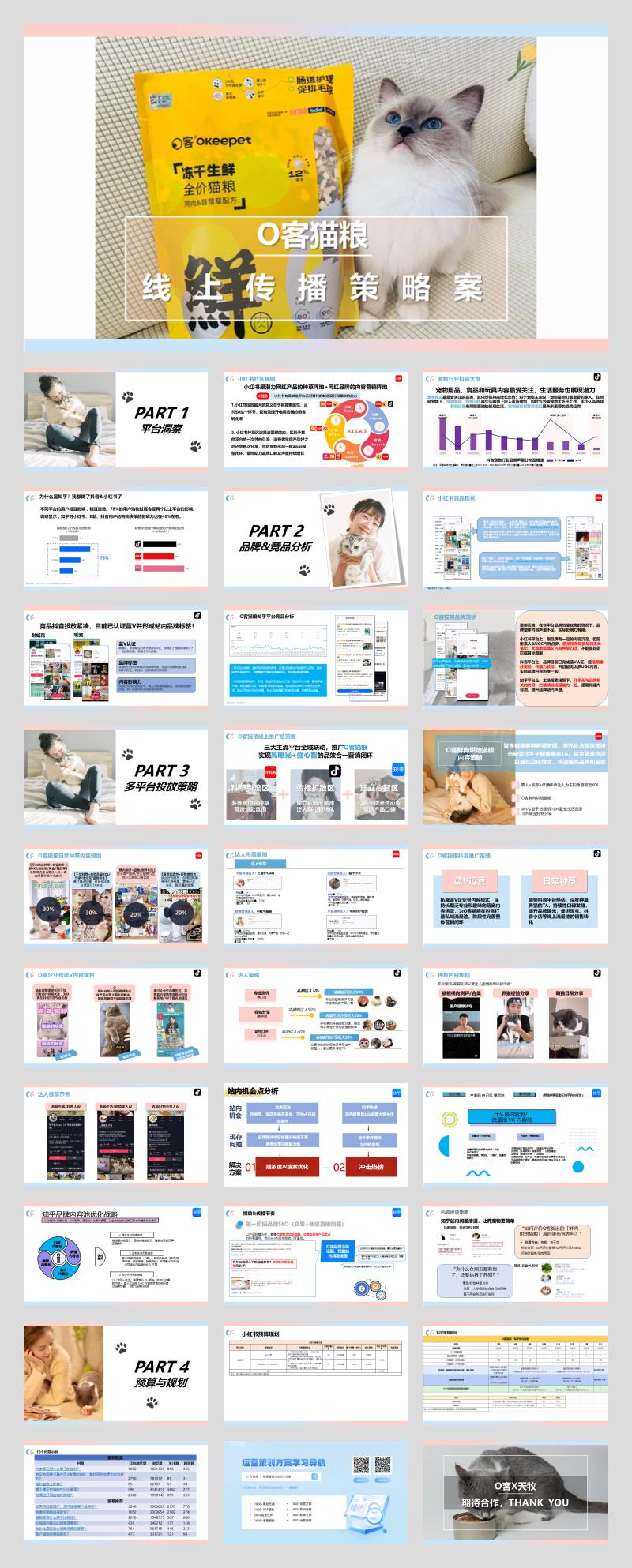 O客猫粮线上营销策划.pptx