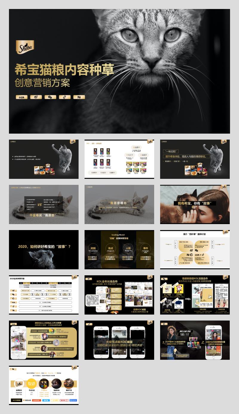 宠物粮品牌全年内容种草创意营销方案.pptx