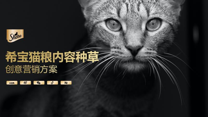 宠物粮品牌全年内容种草创意营销方案.pptx