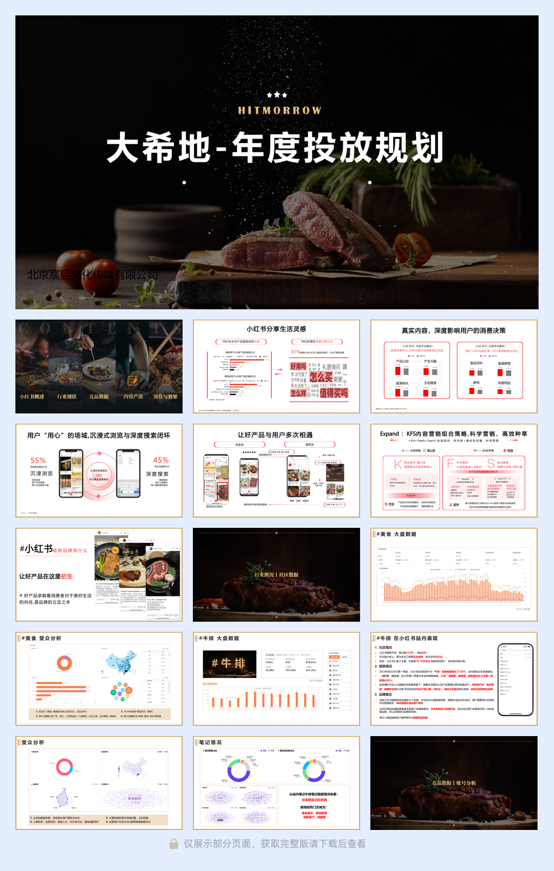 大希地 -年度投放规划-优化版 4.13.pdf